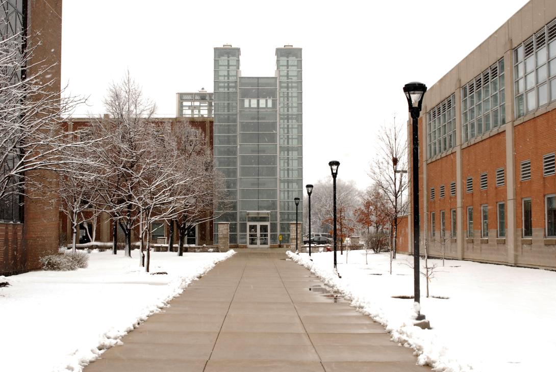 non-traditional-degree-programs-courses-neiu